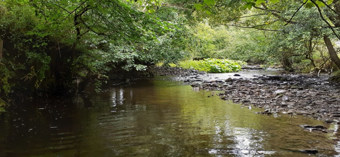 Edw Hergest - JA from Rhayader